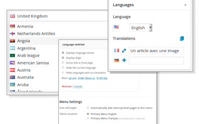 Excelente plugin para sitio web multilenguaje en WordPress